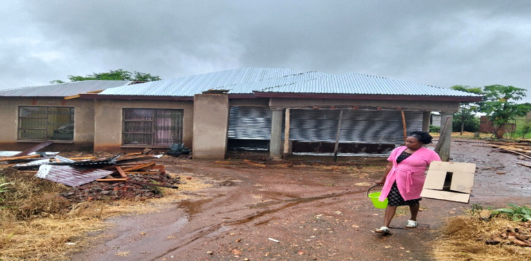 From a Small Loan to a Thriving Business: How Microfinance is Empowering Women Entrepreneurs